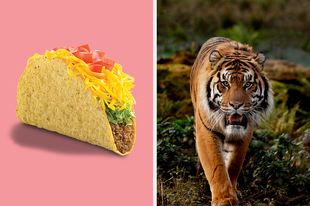 Eat At Del Taco And We'll Reveal Which Animal You Truly Embody