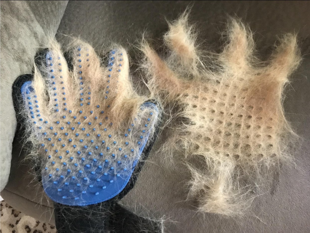 The grooming gloves filled with fur taken off of a pet