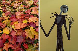 On the left, a pile of fall leaves on the grass, and on the right, Jack Skellington from "The Nightmare Before Christmas"