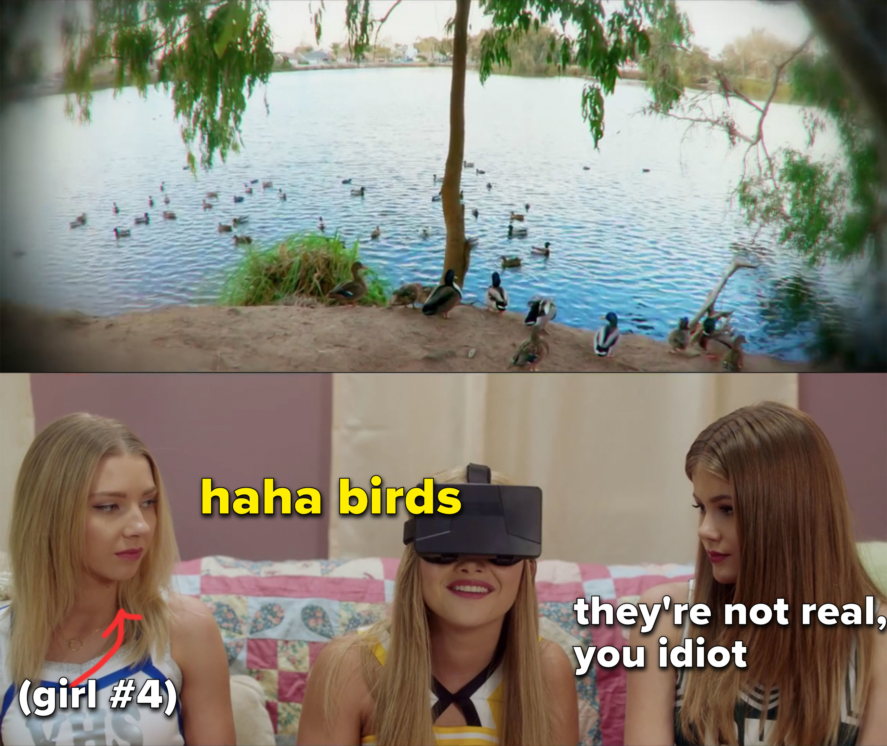 Chelsea looking through VR googles and laughing, captioned, &quot;haha birds&quot; and mean girl next to her captioned, &quot;they&#x27;re not real you idiot&quot;