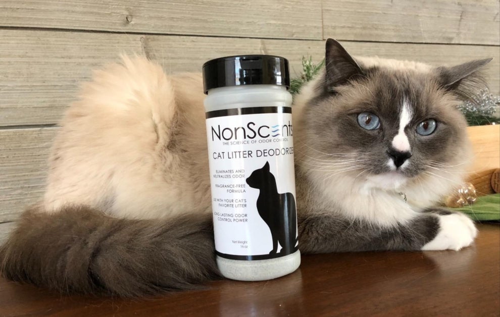 30 Pet Products On Amazon You May Thank Yourself For Buying