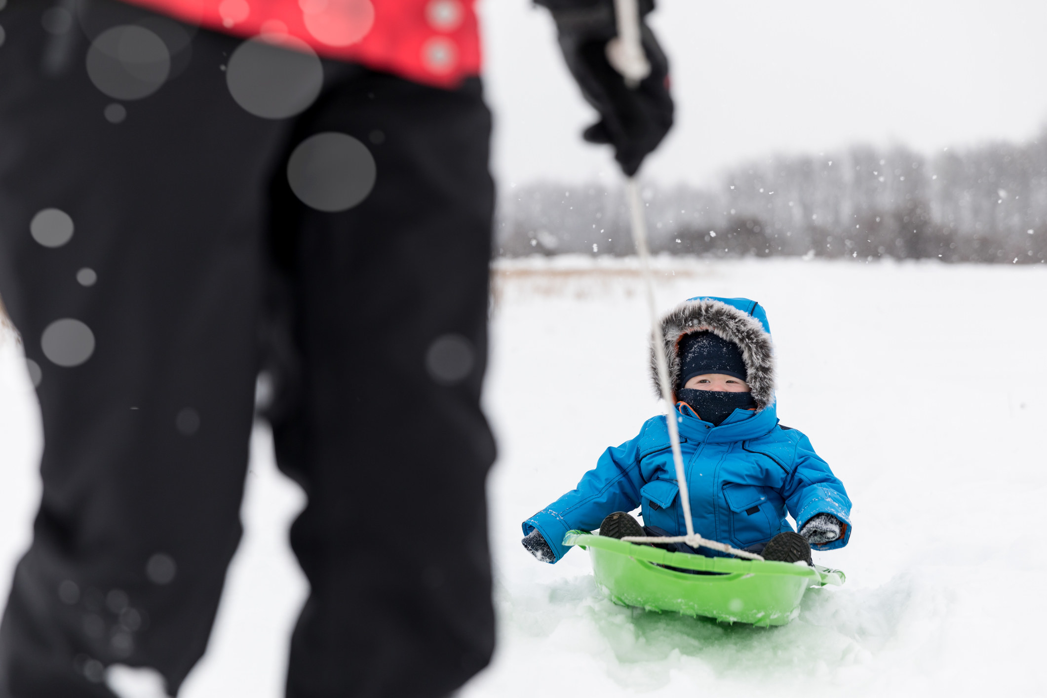 A parent pulling their baby in a sled outside in the snow