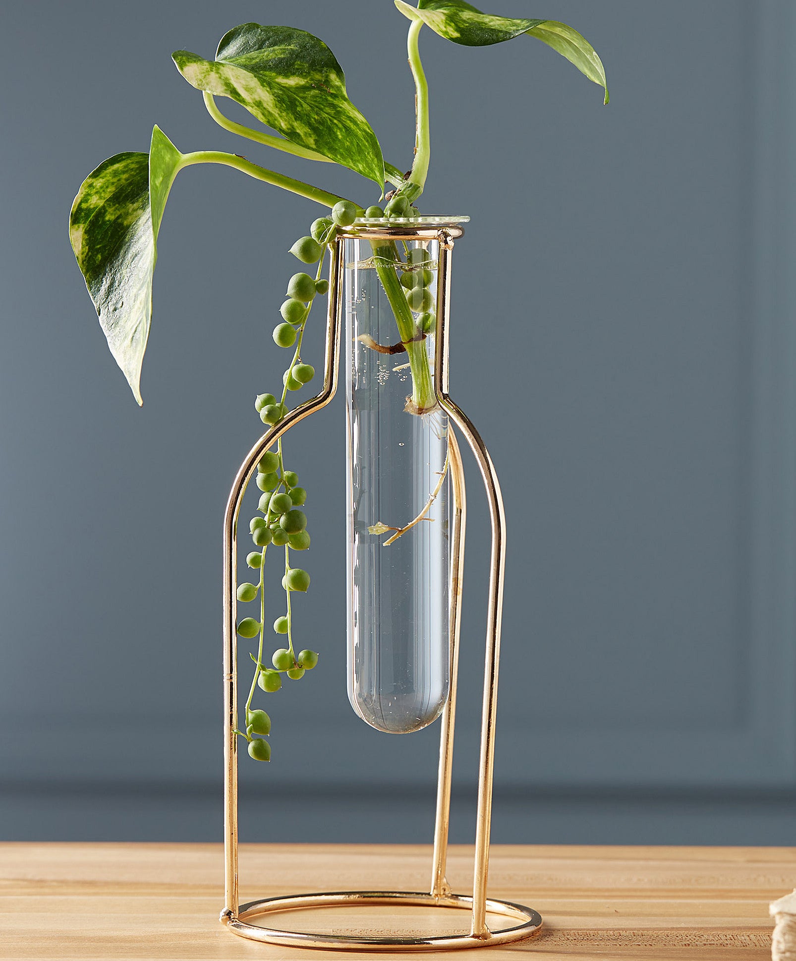 Plant clippings in the vial vase