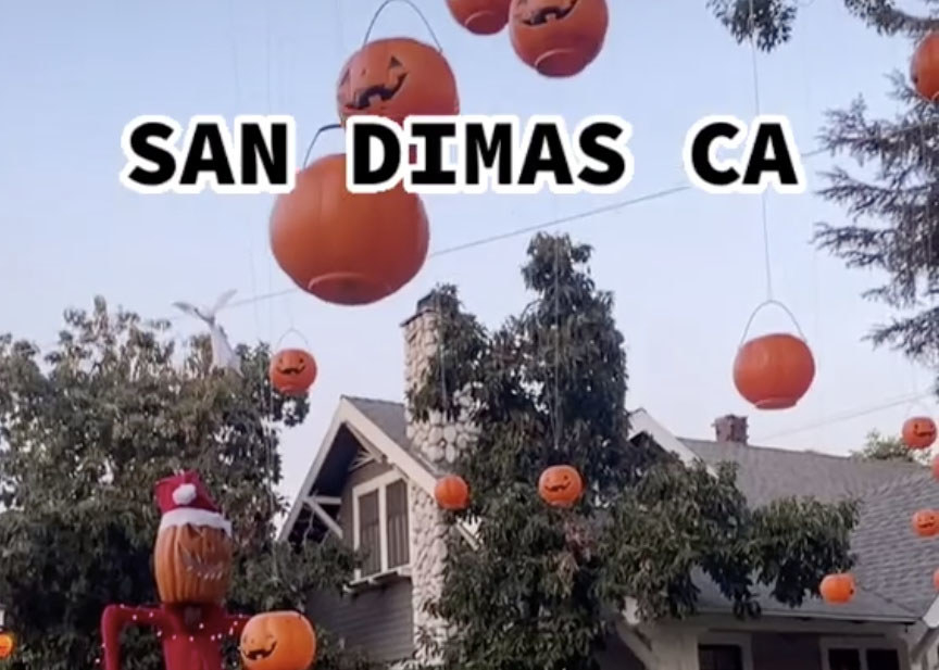 Lots of pumpkins are hung from a tree