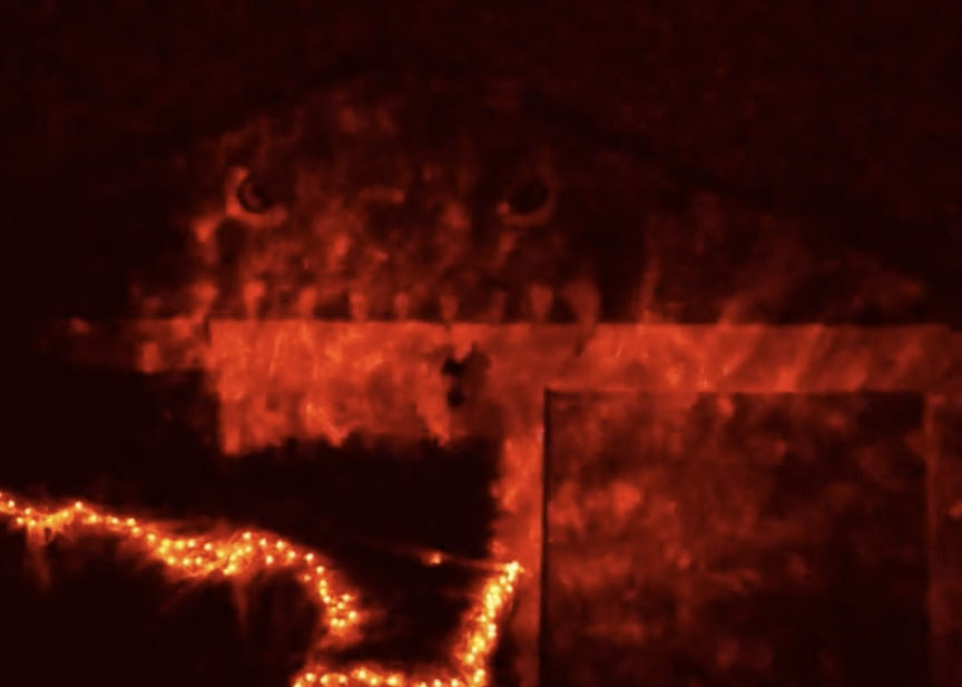 A home covered in red lights at night and a face can subtly be seen on the garage