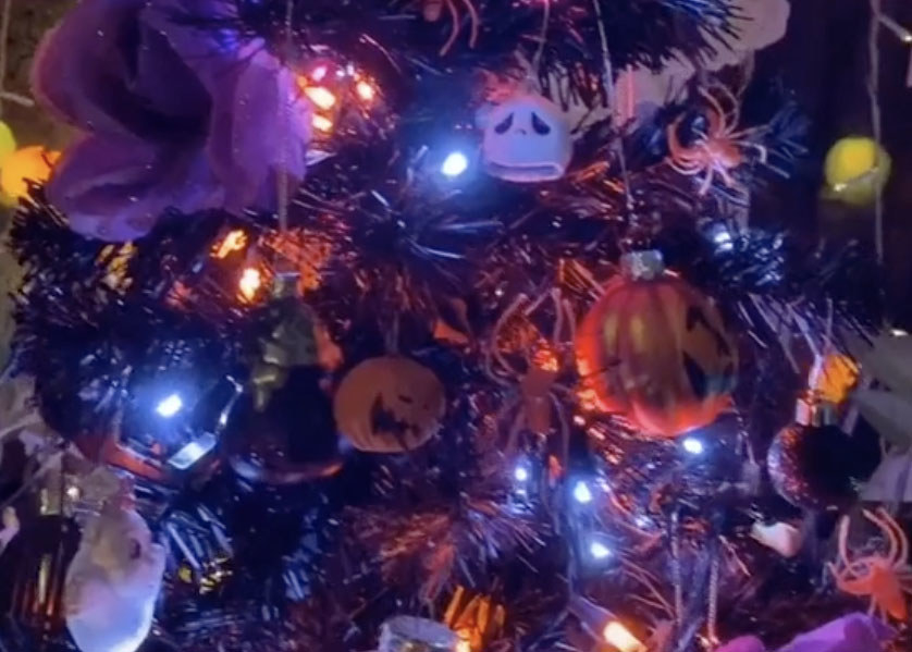A Christmas tree filled with lights and pumpkin ornaments
