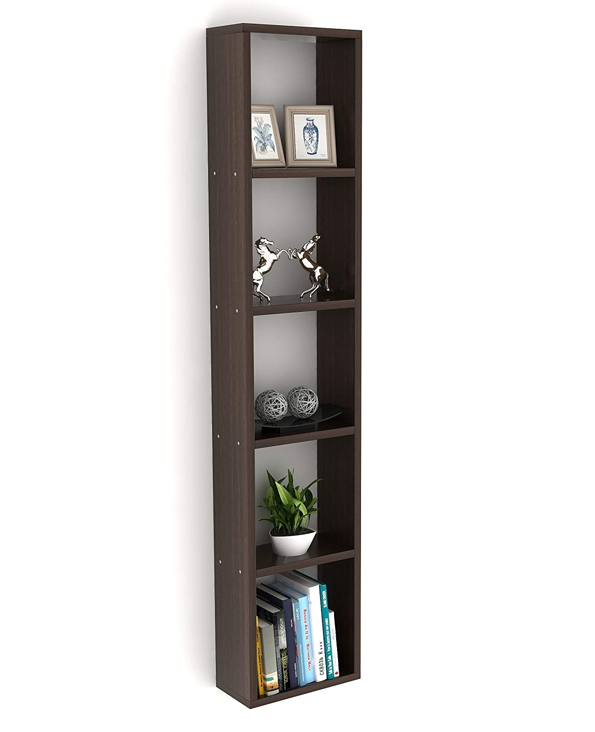 A wall-mounted bookshelf 