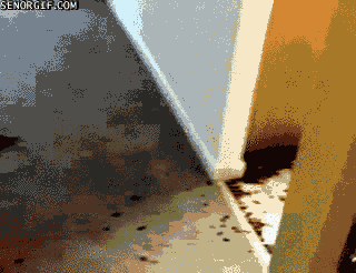 A kid has spilled a giant bag of dog food all over the kitchen and is tossing it in the air