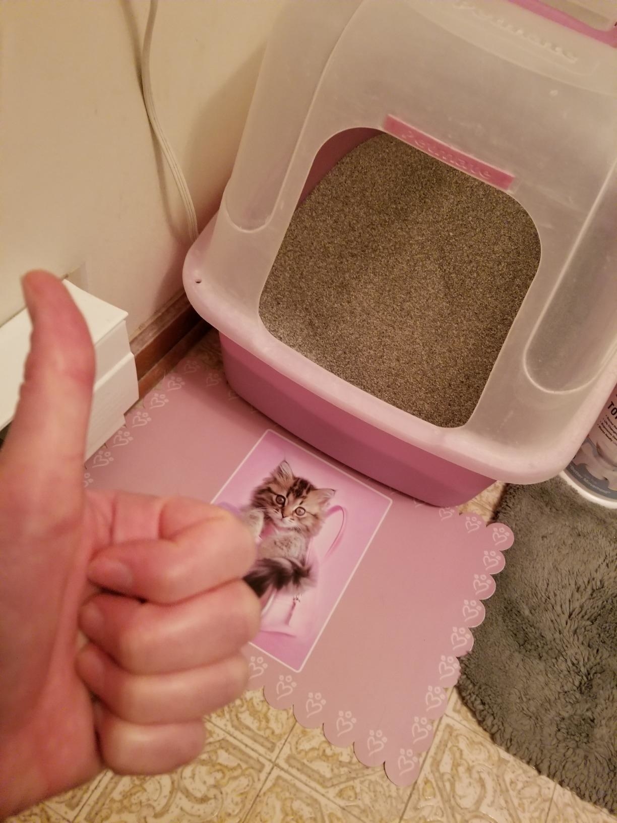Reviewer image of dust-free product in litter box 