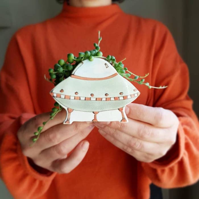 A person holding the UFO pot with a succulent inside
