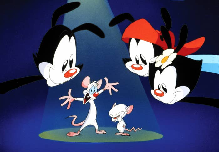A promotional photo of Animaniacs from the original series