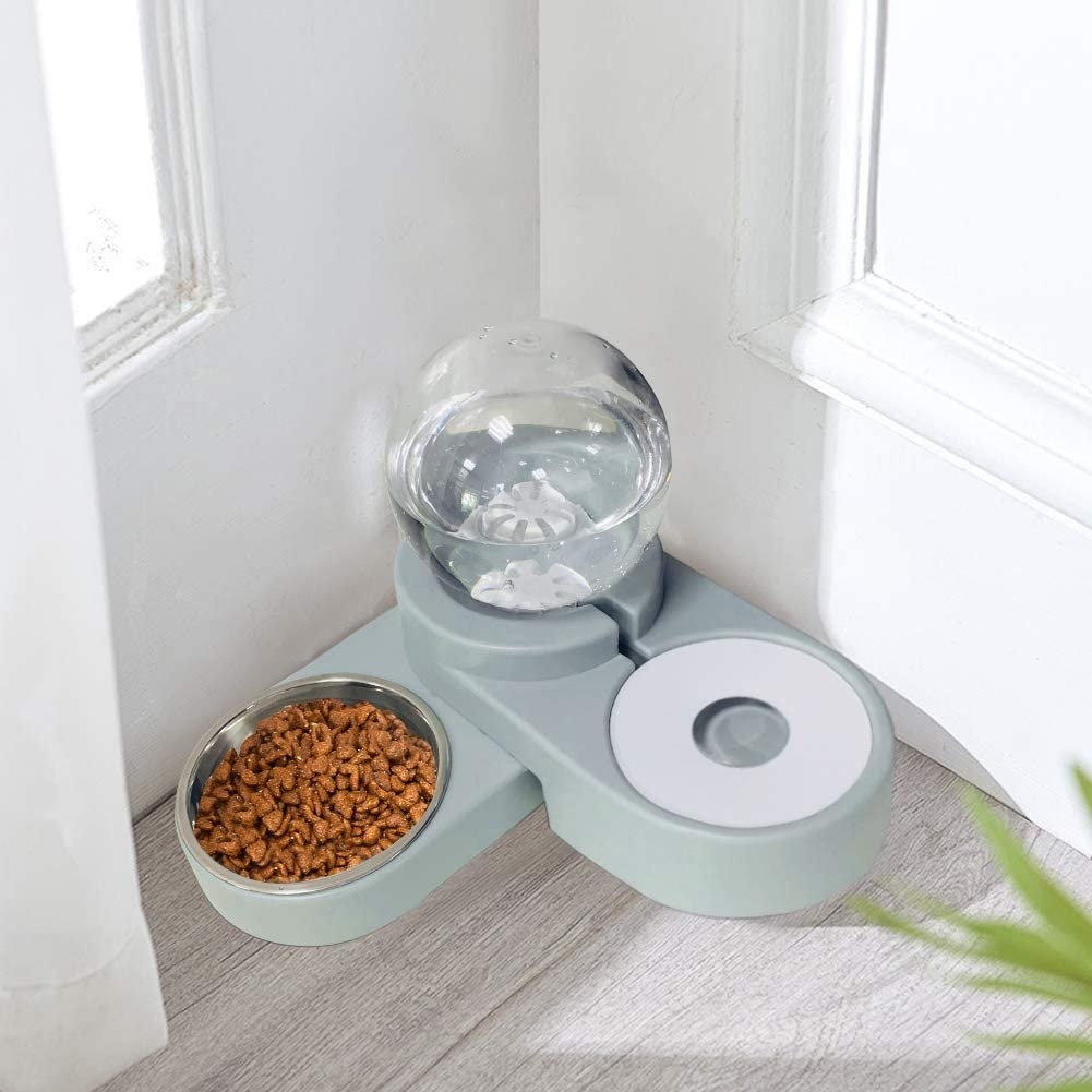 The pet feeder filled with water and food