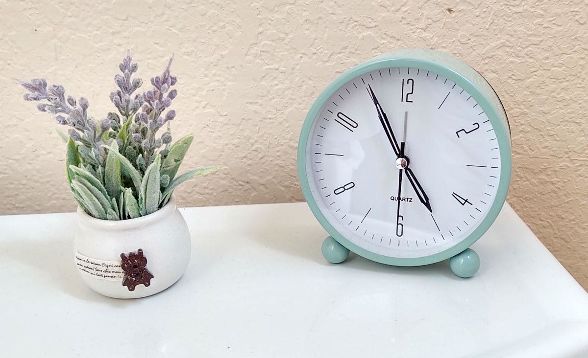 The alarm clock next to a plant