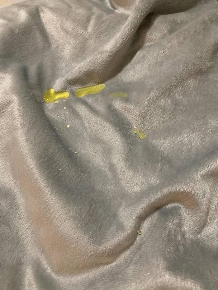 Reviewer&#x27;s blanket with pee sitting on it, not staining it