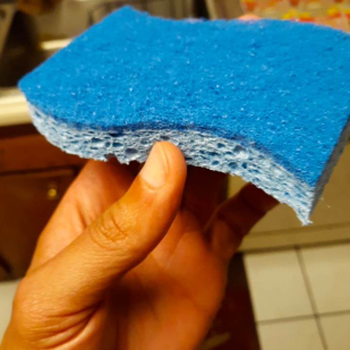 Reviewer holding up two layer sponge 