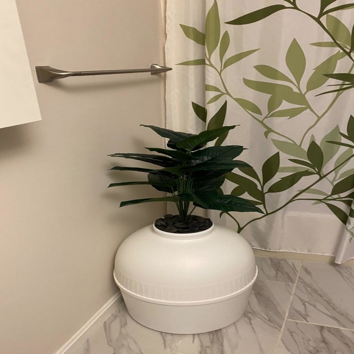 The cat box in a bathroom