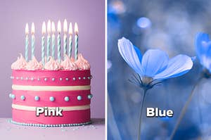 Pink cake and blue flowers
