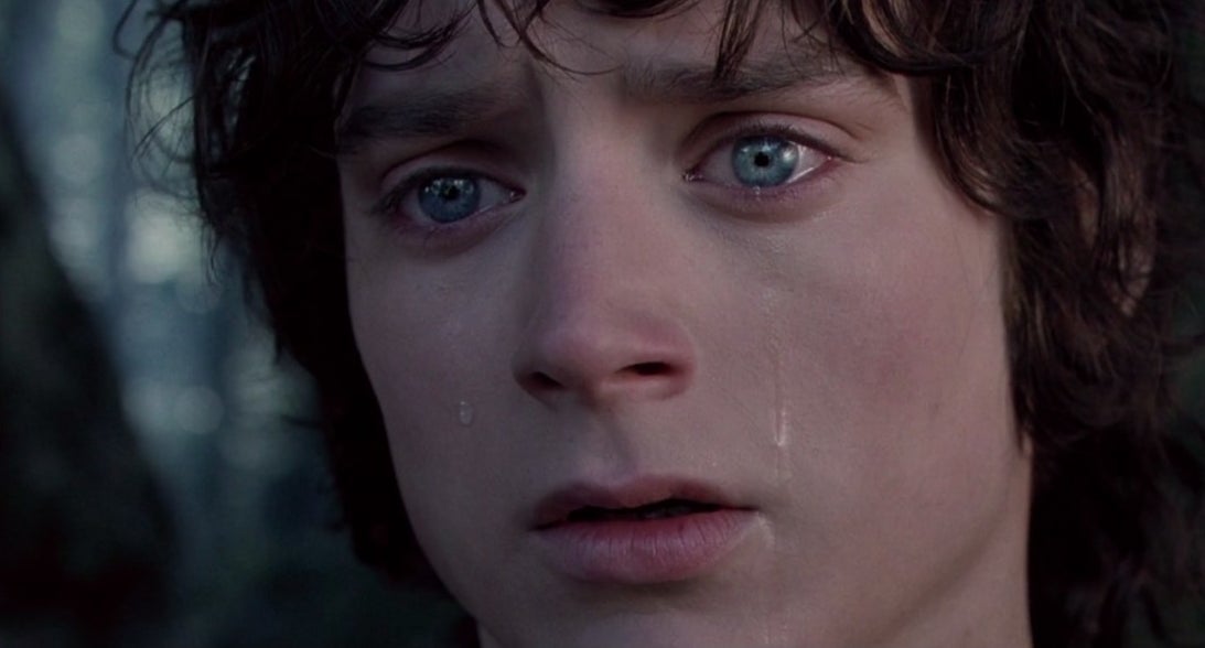 elijah wood crying in &quot;lord of the rings: the fellowship of the ring&quot;
