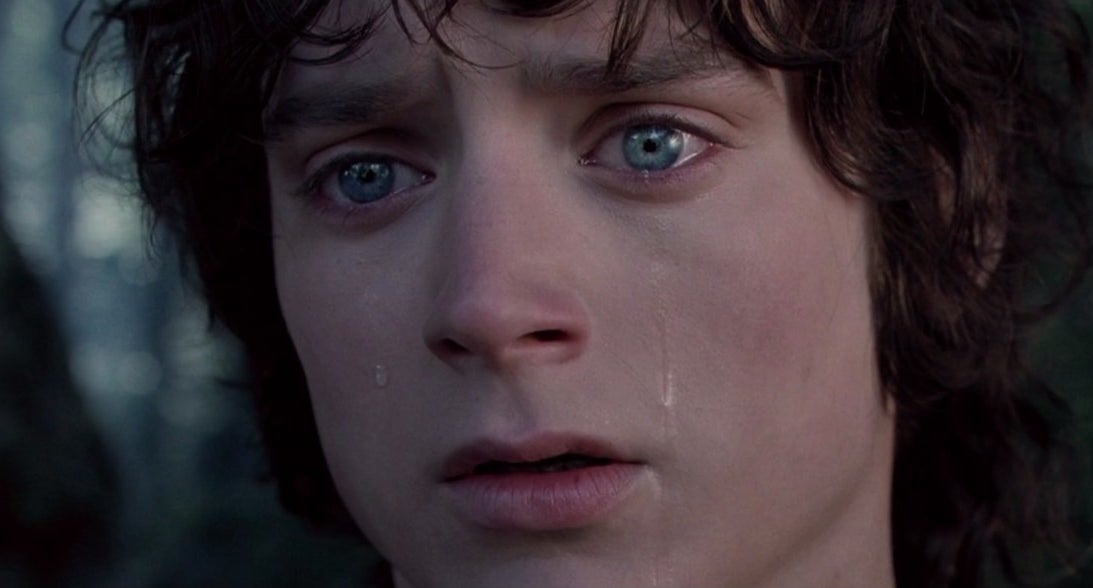 elijah wood crying in "lord of the rings: the fellowship of the ring"
