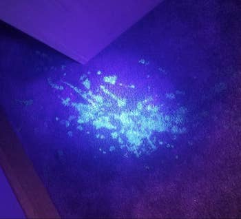 A carpet shined with a UV black light