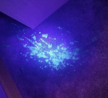 A carpet shined with a UV black light