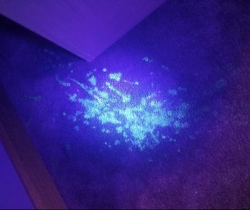 Reviewer pic of the same carpet shined with a UV black light