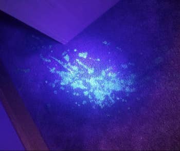 The same carpet shined with a UV black light 