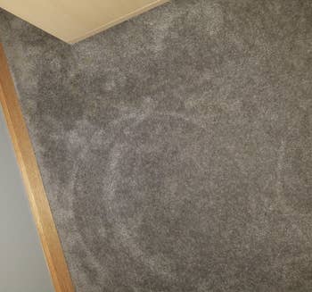 A carpet in a house