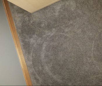 Reviewer pic of carpet in a house