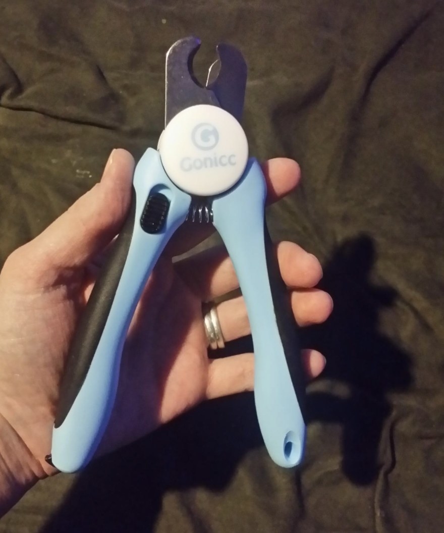 Reviewer photo of the light blue nail clippers