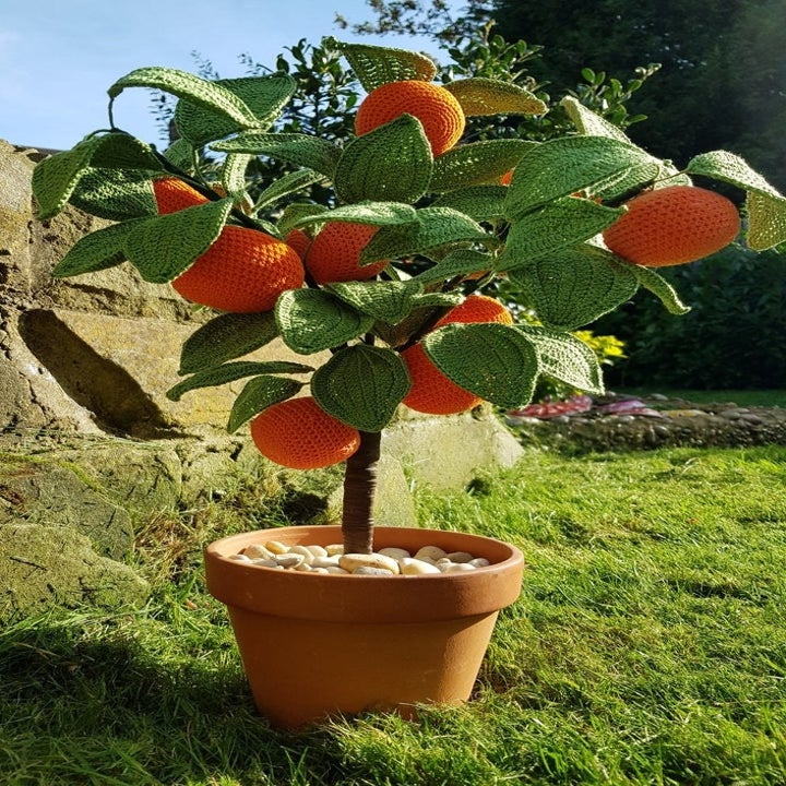 20 Best Etsy Plant Shops Every Plant Parent Will Love