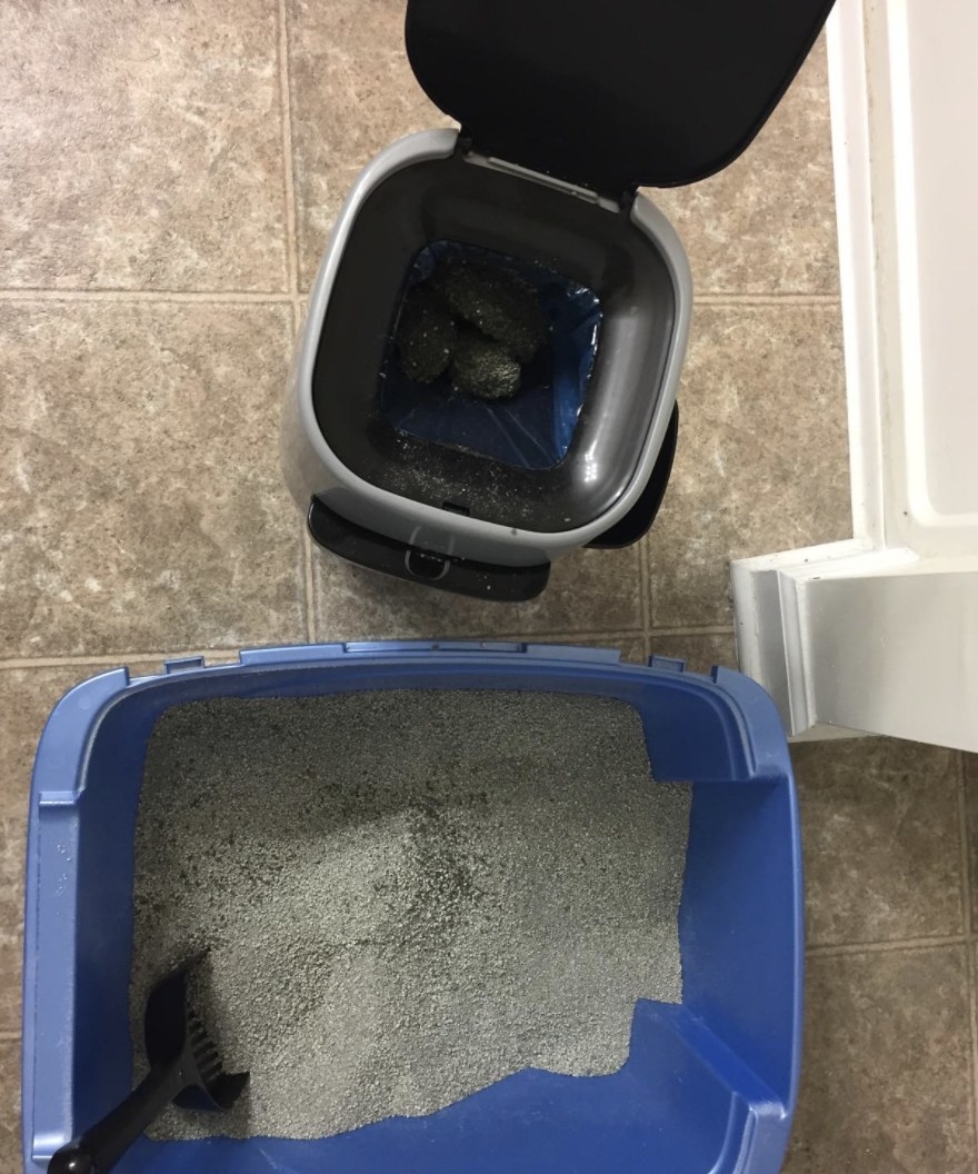 Reviewer photo of a litter genie next to a litter box