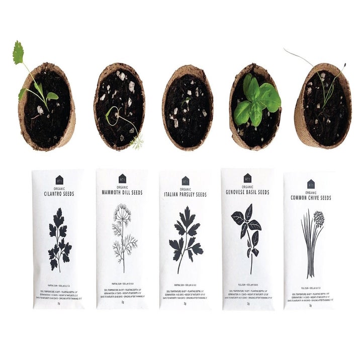 20 Best Etsy Plant Shops Every Plant Parent Will Love