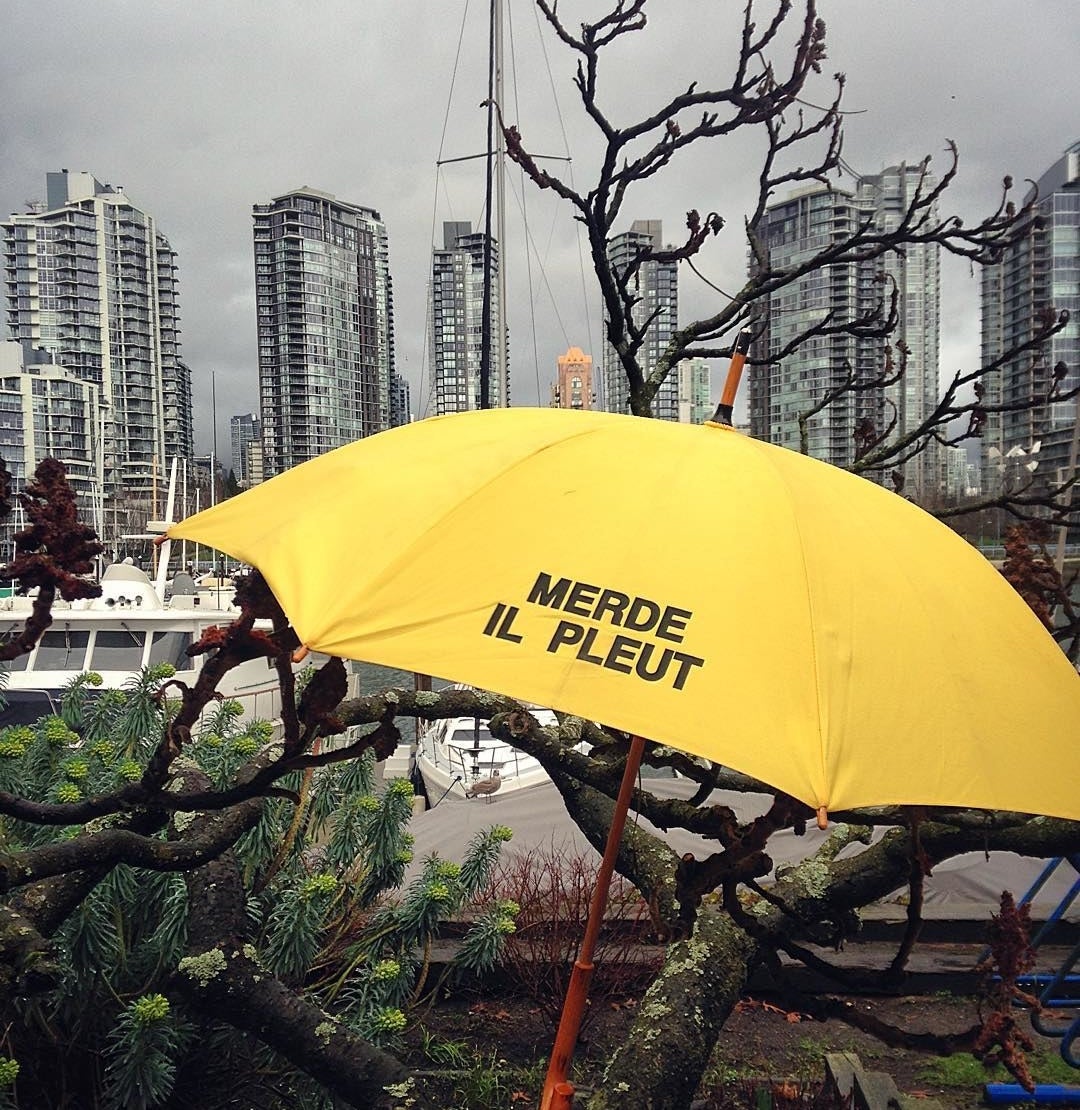 An umbrella caught in a tree with boats in the background
