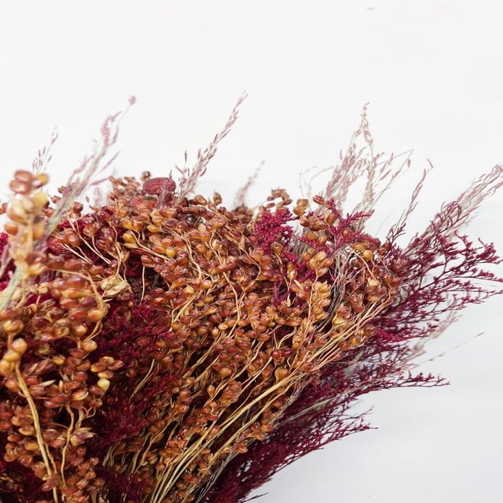 20 Best Etsy Plant Shops Every Plant Parent Will Love