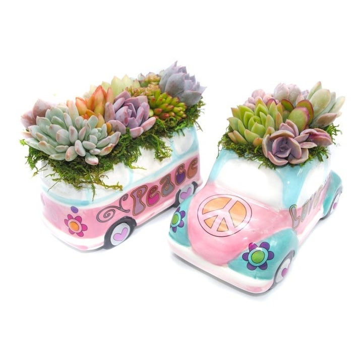 20 Best Etsy Plant Shops Every Plant Parent Will Love