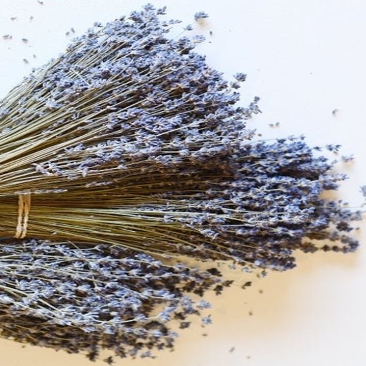 20 Best Etsy Plant Shops Every Plant Parent Will Love