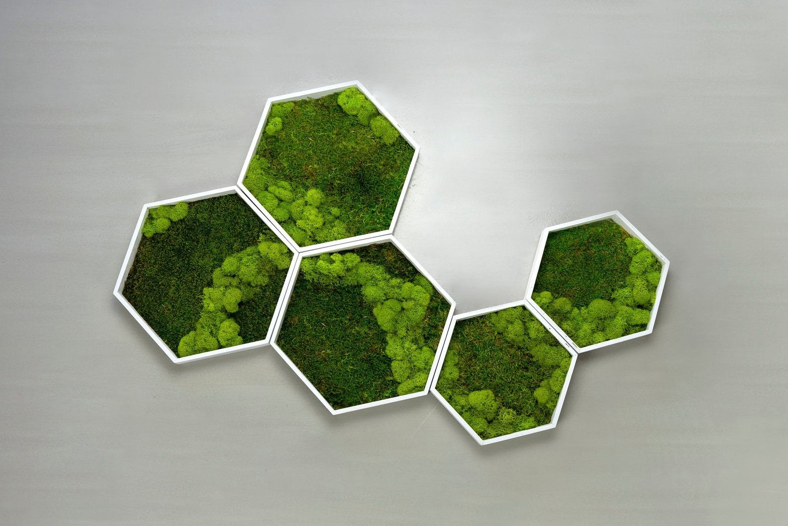 Five connected hexagons of different sizes filled with preserved moss on a wall