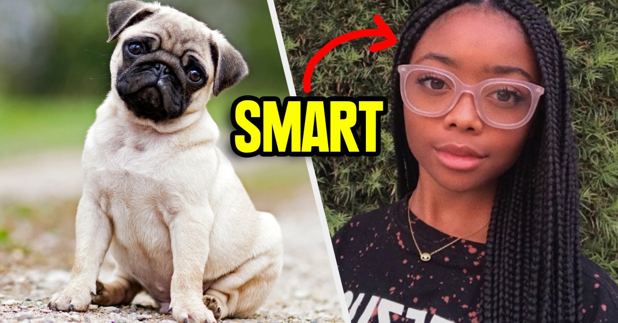 Can We Guess Your Personality Based On Dog Pictures?