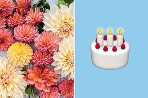 Several colors of dahlias on the left and a birthday cake emoji on the right