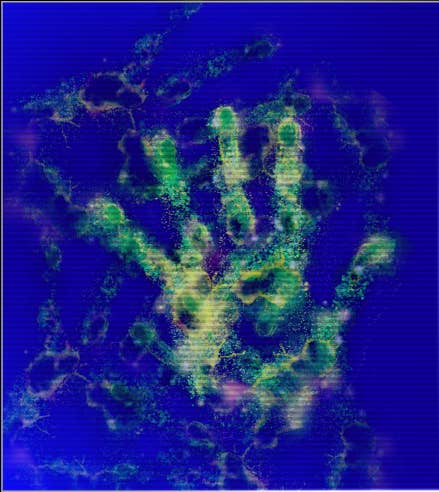 A blue light reveal of bacteria on a hand.