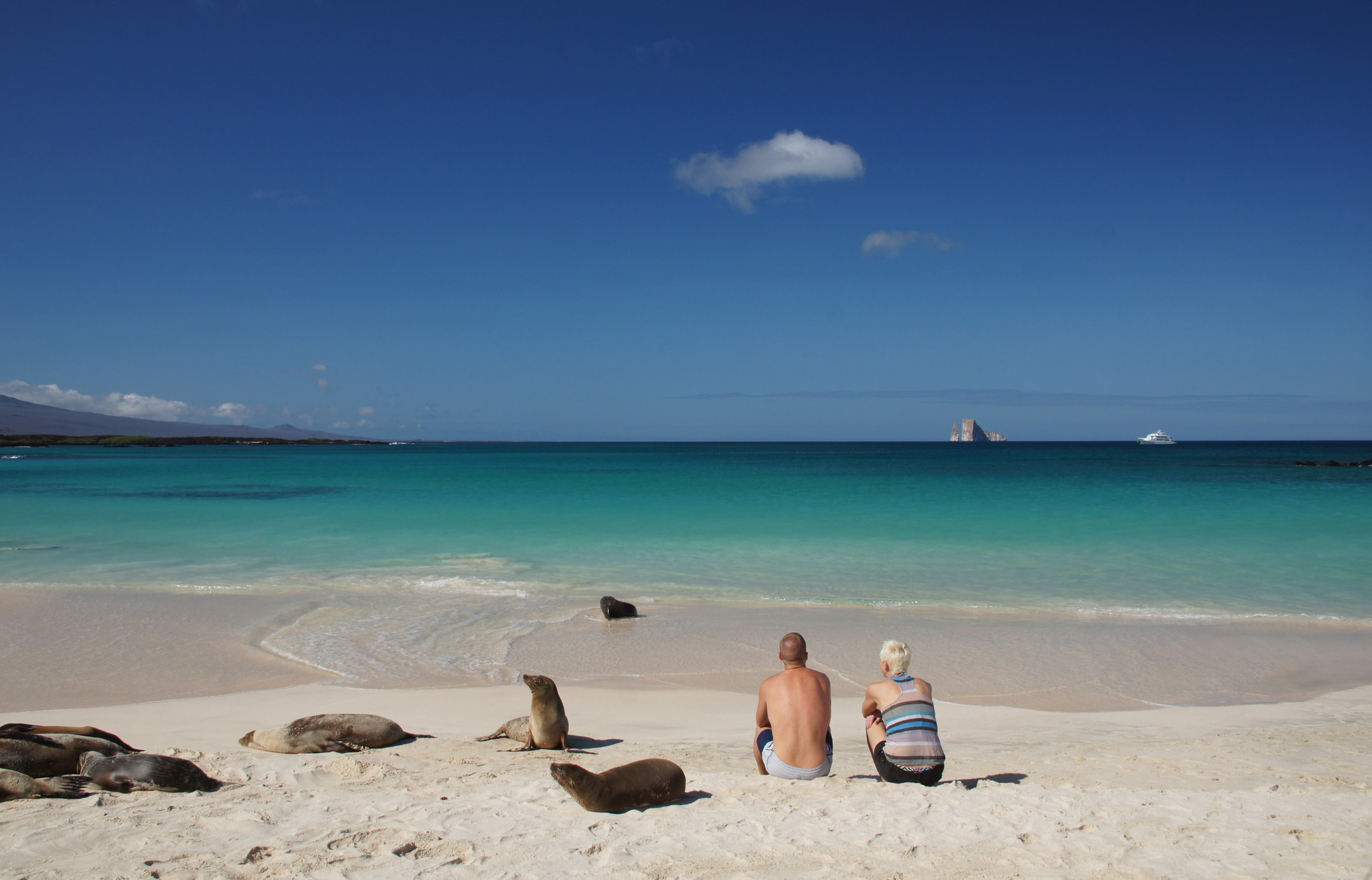 A couple sitting on a white sand beach next to wild sea lions