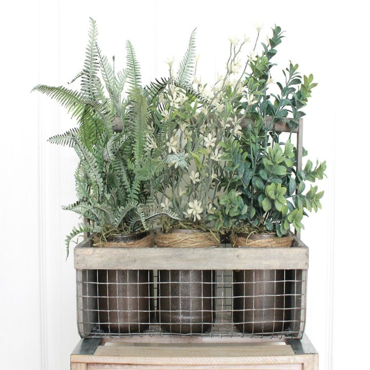 20 Best Etsy Plant Shops Every Plant Parent Will Love