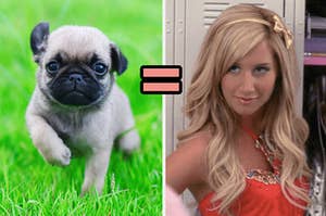 A baby pug on the left and Sharpay Evans on the right