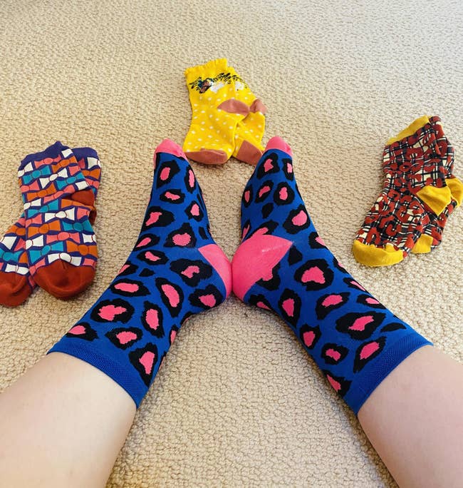 katy in blue and pink leopard print crew socks surrounded by other sock candy pairs