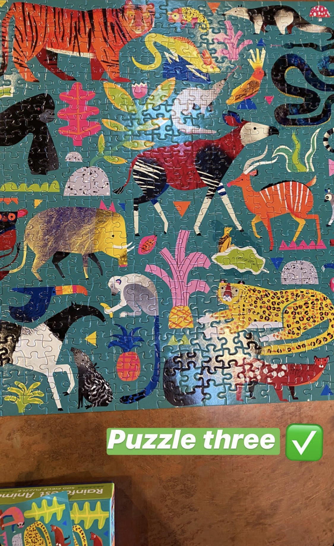 teal rainforest animal illustrated puzzle 