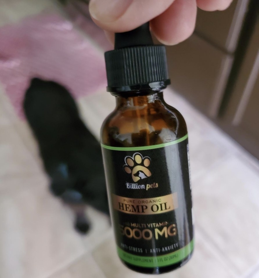 Person is holding hemp oil bottle in front of dog