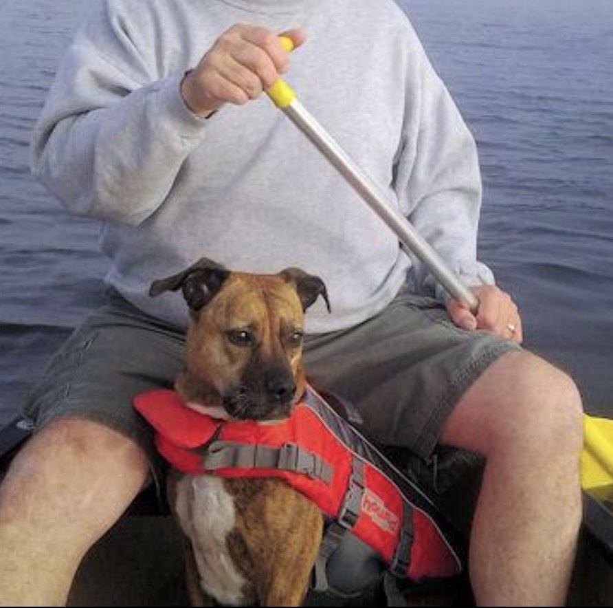 Person is sitting in a canoe with their dog wearing a life jacket