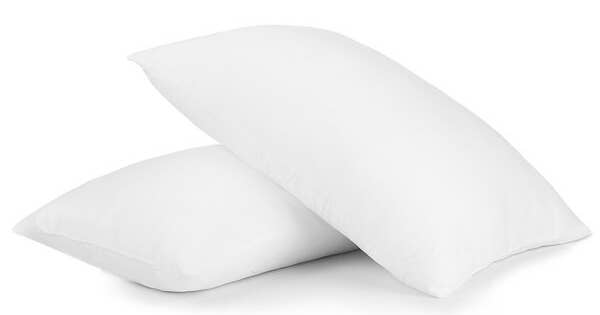 The pillows, which are fluffy, with standard pillow dimensions