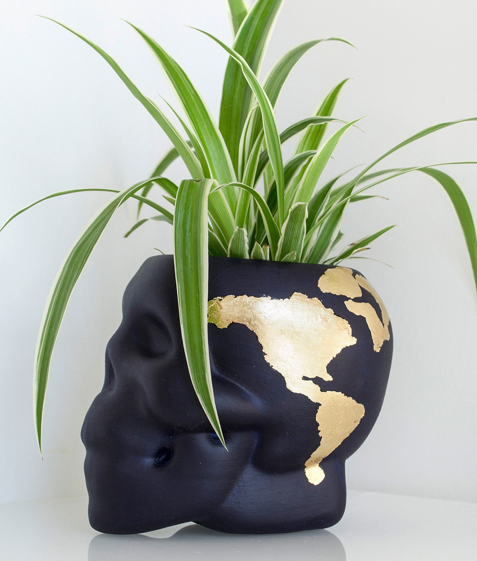 AThe skull-plant pot with a plant inside